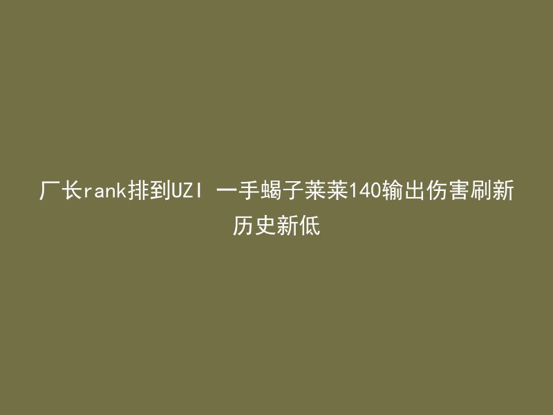 厂长rank排到UZI 一手蝎子莱莱140输出伤害刷新历史新低