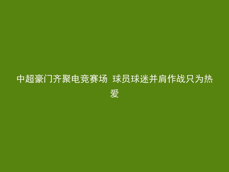 中超豪门齐聚电竞赛场 球员球迷并肩作战只为热爱