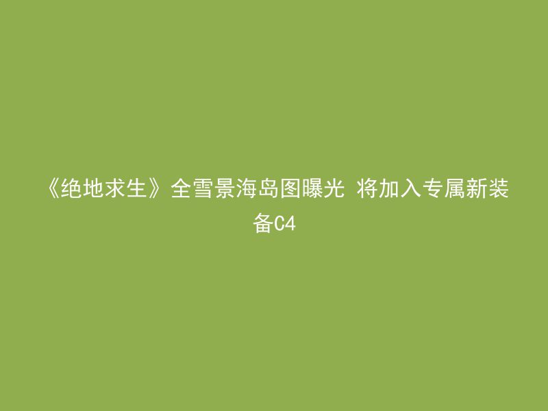 《绝地求生》全雪景海岛图曝光 将加入专属新装备C4