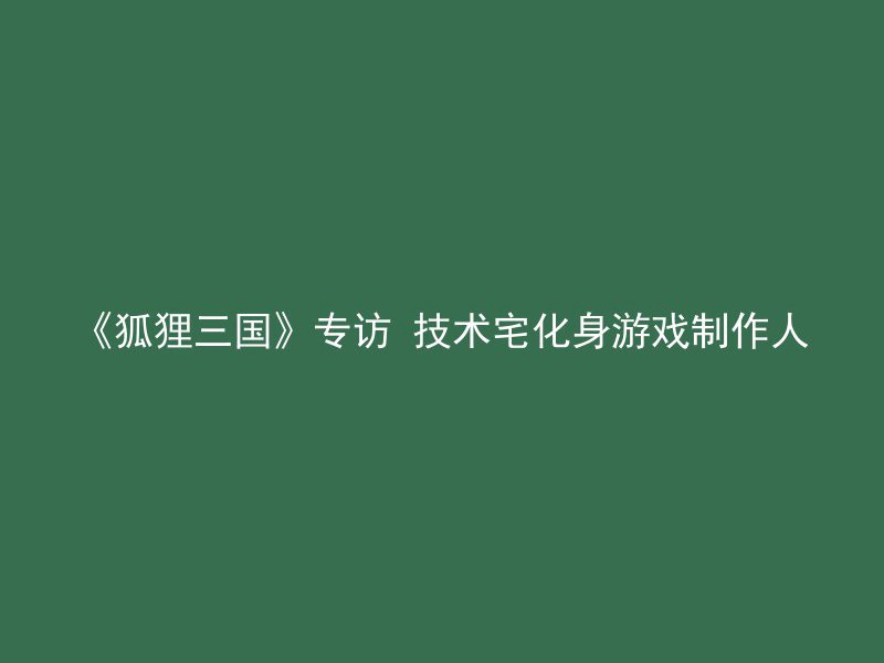 《狐狸三国》专访 技术宅化身游戏制作人