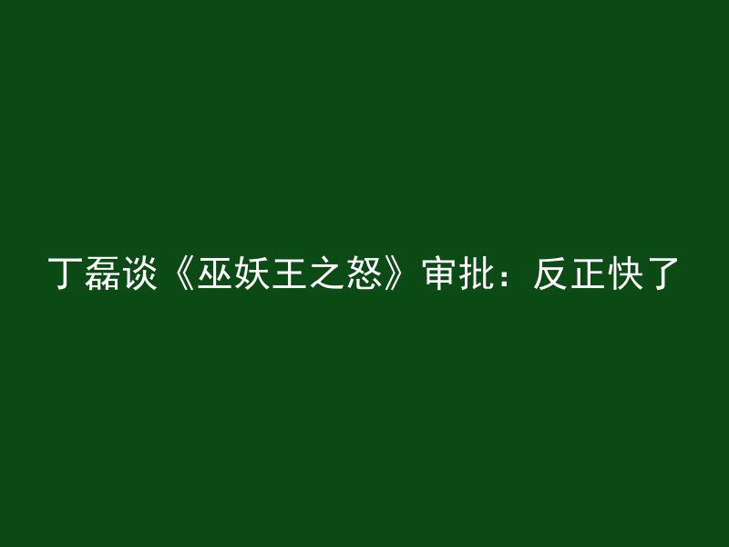 丁磊谈《巫妖王之怒》审批：反正快了