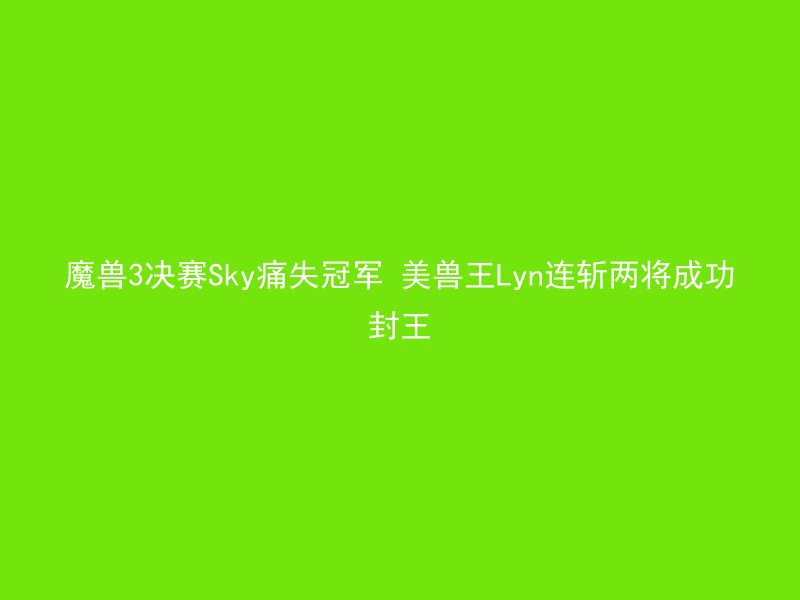 魔兽3决赛Sky痛失冠军 美兽王Lyn连斩两将成功封王