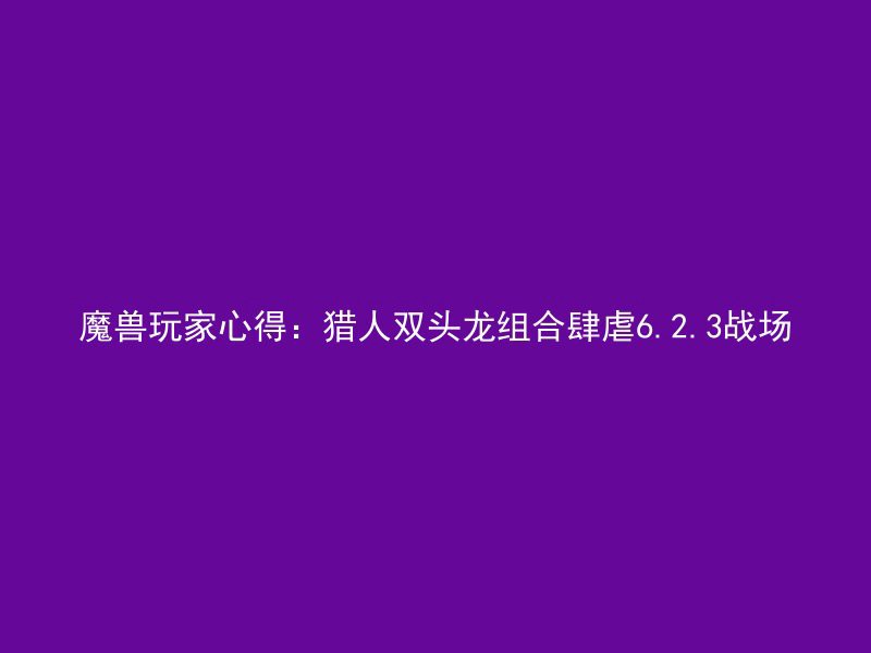 魔兽玩家心得：猎人双头龙组合肆虐6.2.3战场