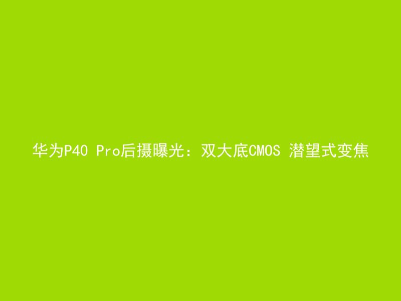 华为P40 Pro后摄曝光：双大底CMOS 潜望式变焦