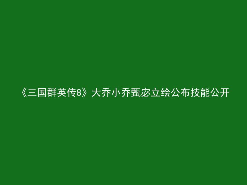 《三国群英传8》大乔小乔甄宓立绘公布技能公开