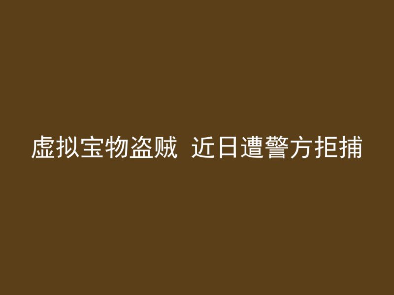 虚拟宝物盗贼 近日遭警方拒捕