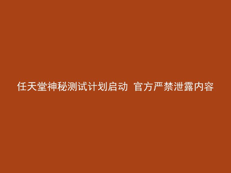 任天堂神秘测试计划启动 官方严禁泄露内容