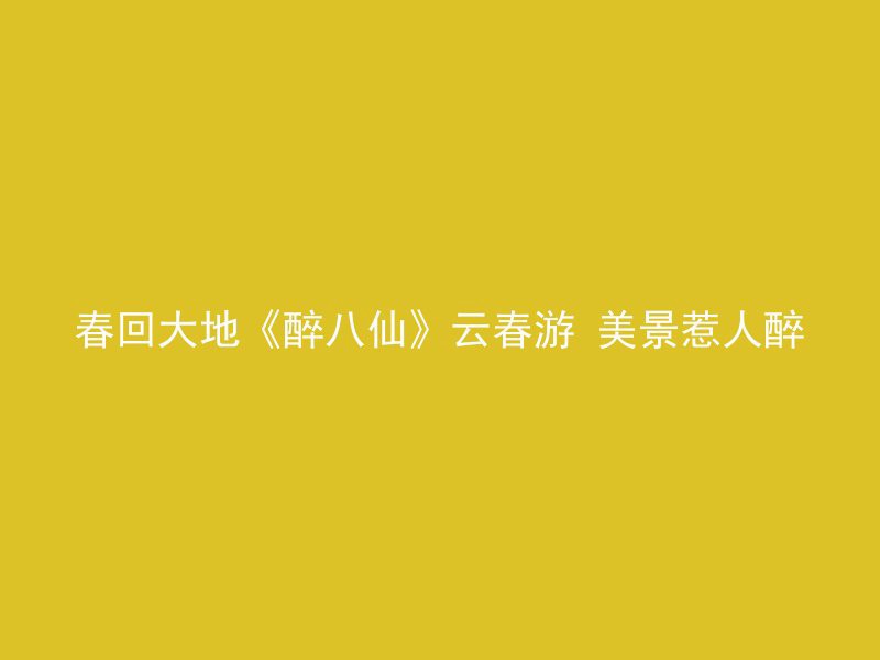 春回大地《醉八仙》云春游 美景惹人醉