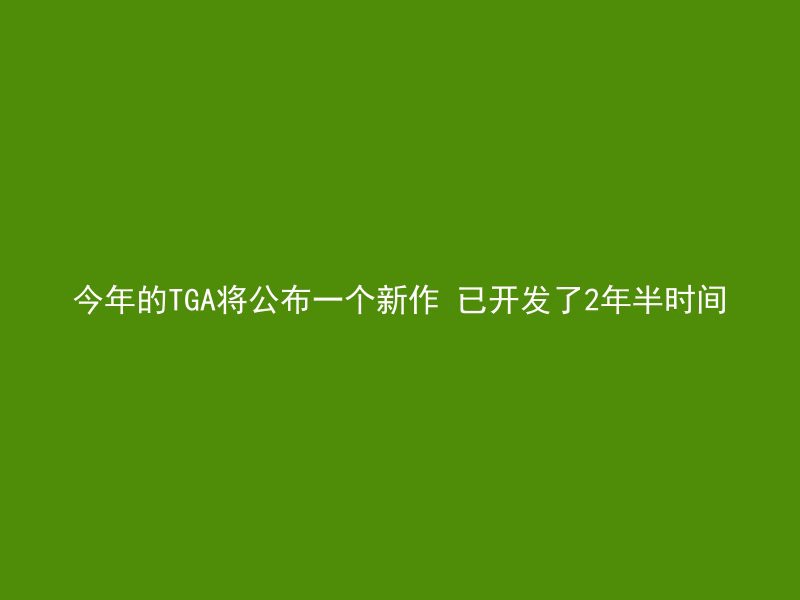 今年的TGA将公布一个新作 已开发了2年半时间