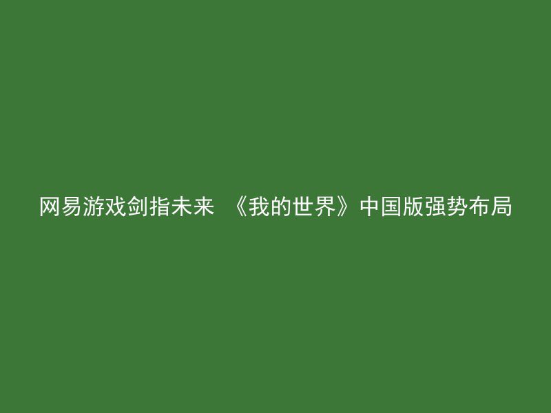 网易游戏剑指未来 《我的世界》中国版强势布局