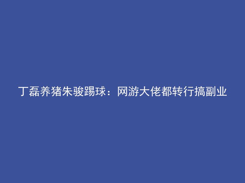 丁磊养猪朱骏踢球：网游大佬都转行搞副业