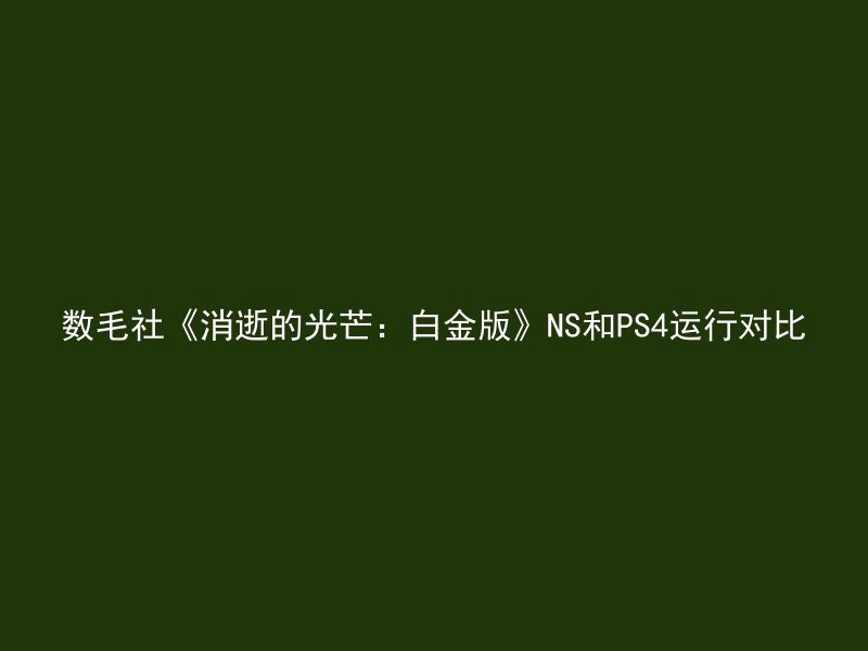 数毛社《消逝的光芒：白金版》NS和PS4运行对比