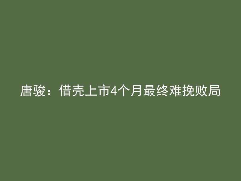 唐骏：借壳上市4个月最终难挽败局