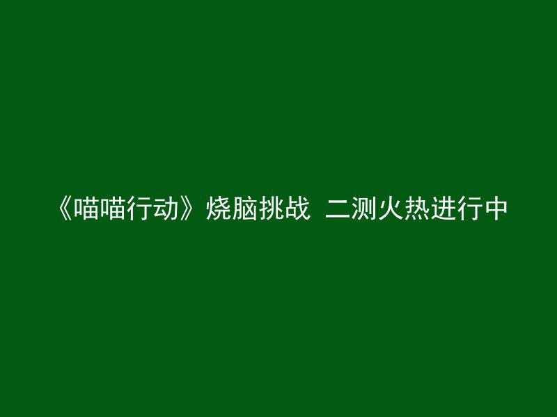 《喵喵行动》烧脑挑战 二测火热进行中