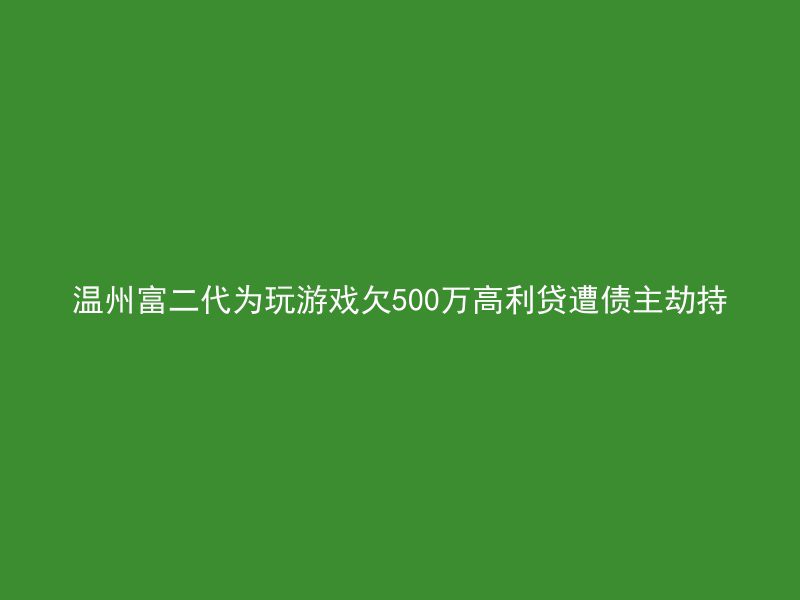 温州富二代为玩游戏欠500万高利贷遭债主劫持