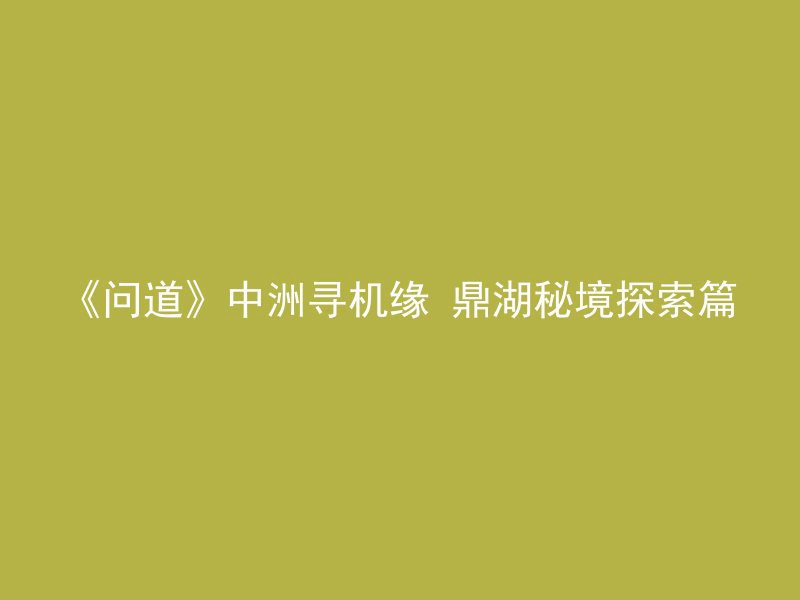 《问道》中洲寻机缘 鼎湖秘境探索篇