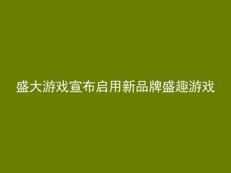 盛大游戏宣布启用新品牌盛趣游戏