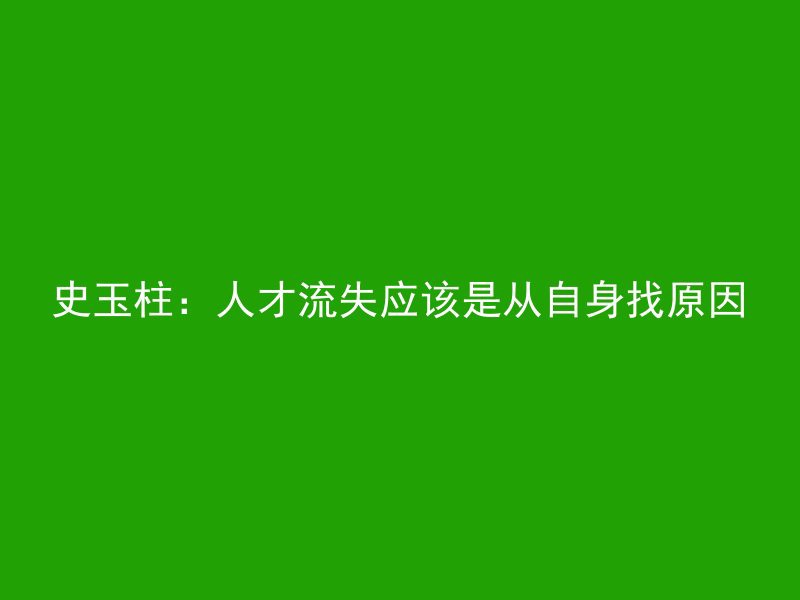 史玉柱：人才流失应该是从自身找原因