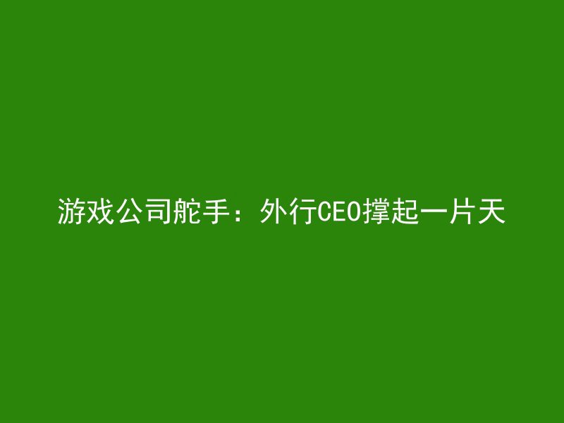 游戏公司舵手：外行CEO撑起一片天