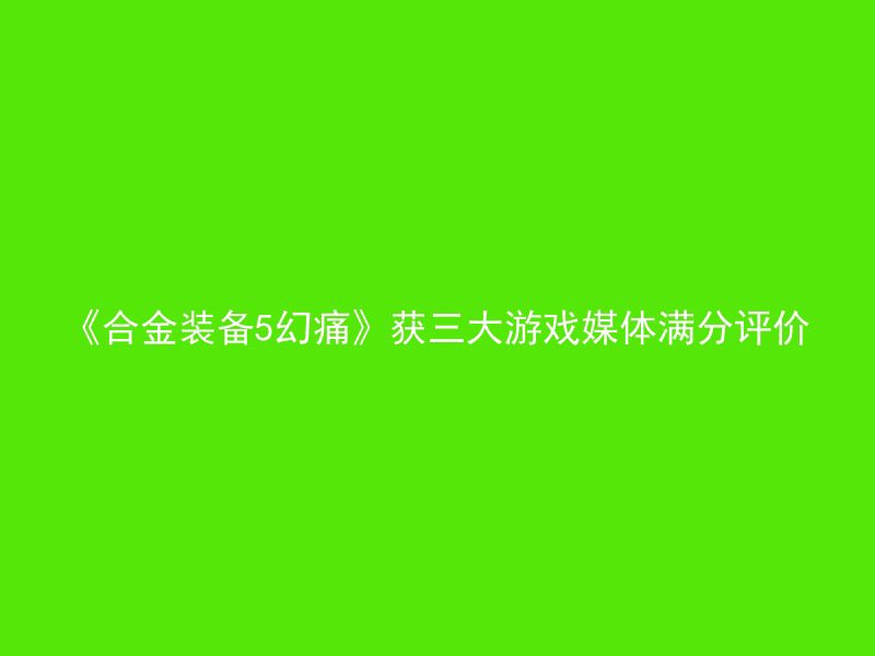 《合金装备5幻痛》获三大游戏媒体满分评价