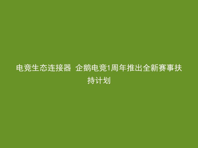 电竞生态连接器 企鹅电竞1周年推出全新赛事扶持计划