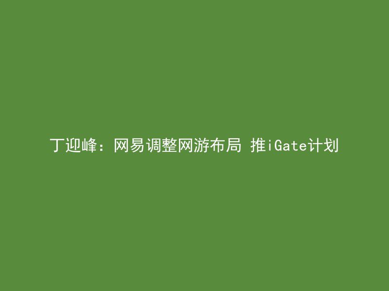 丁迎峰：网易调整网游布局 推iGate计划