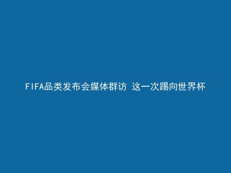 FIFA品类发布会媒体群访 这一次踢向世界杯