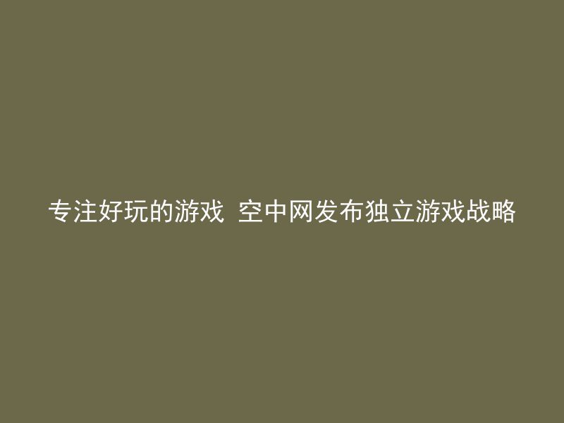 专注好玩的游戏 空中网发布独立游戏战略