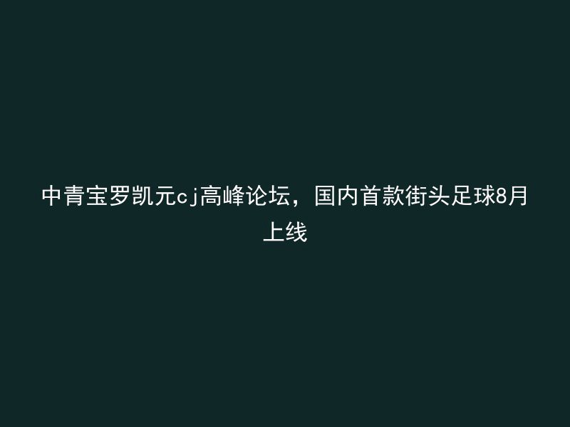 中青宝罗凯元cj高峰论坛，国内首款街头足球8月上线