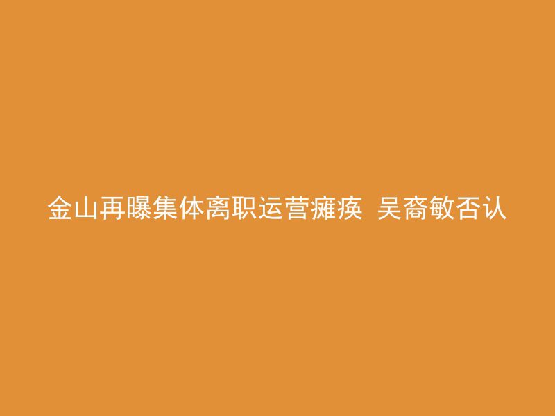 金山再曝集体离职运营瘫痪 吴裔敏否认