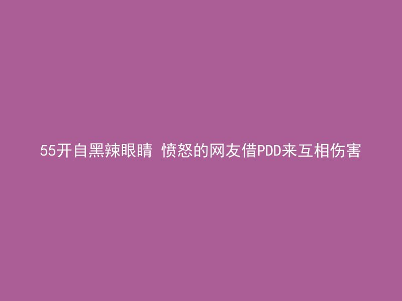 55开自黑辣眼睛 愤怒的网友借PDD来互相伤害