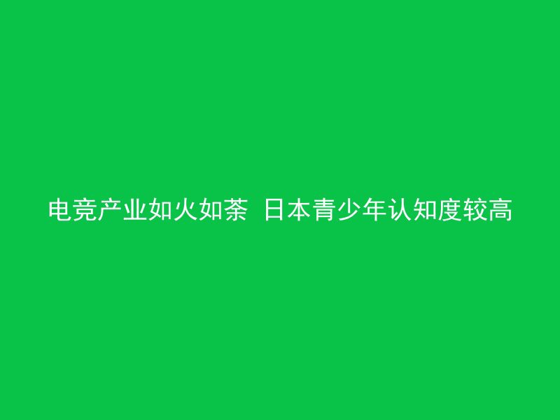 电竞产业如火如荼 日本青少年认知度较高