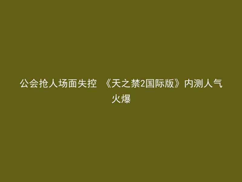 公会抢人场面失控 《天之禁2国际版》内测人气火爆