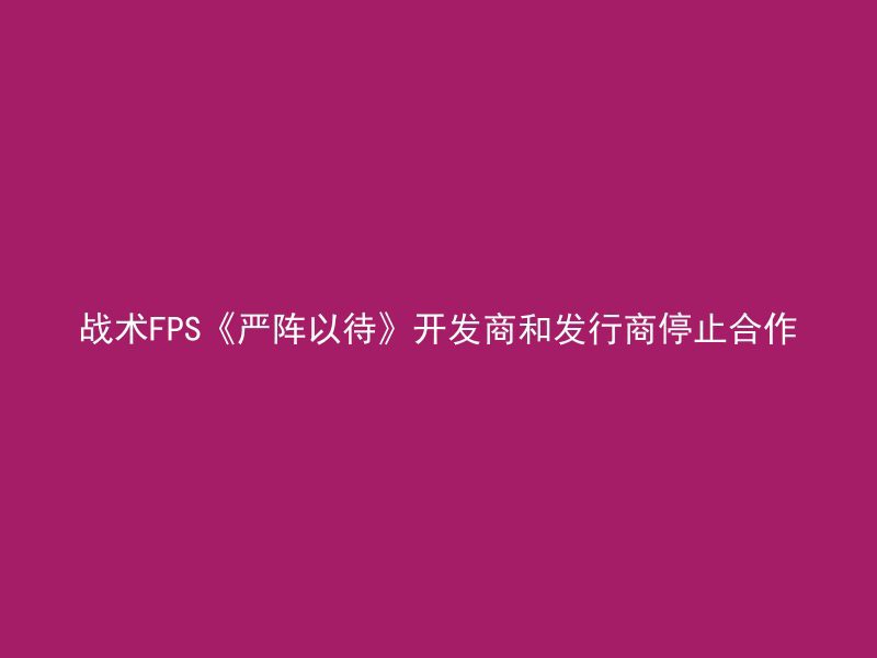 战术FPS《严阵以待》开发商和发行商停止合作