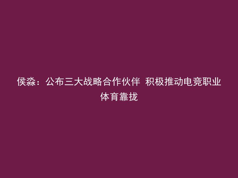 侯淼：公布三大战略合作伙伴 积极推动电竞职业体育靠拢