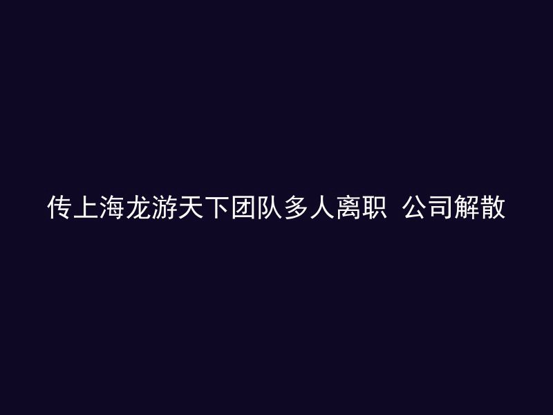 传上海龙游天下团队多人离职 公司解散