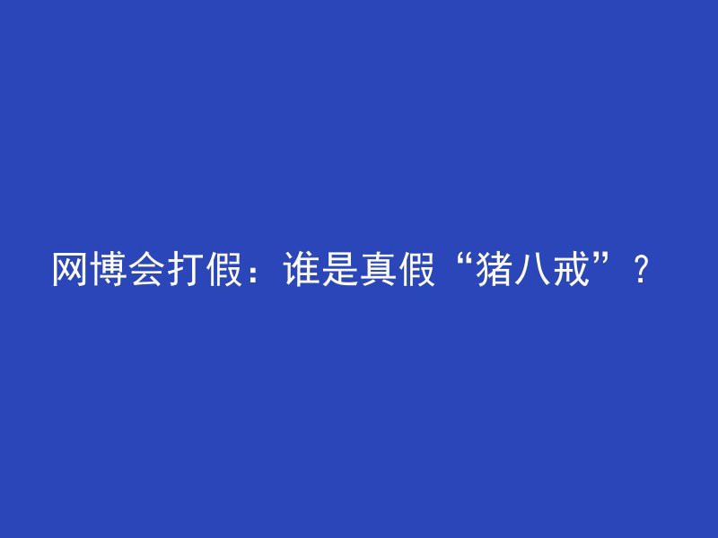 网博会打假：谁是真假“猪八戒”？