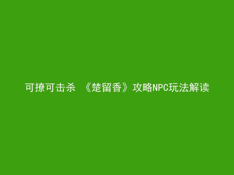 可撩可击杀 《楚留香》攻略NPC玩法解读