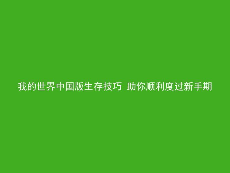 我的世界中国版生存技巧 助你顺利度过新手期