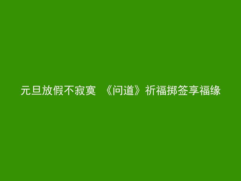 元旦放假不寂寞 《问道》祈福掷签享福缘