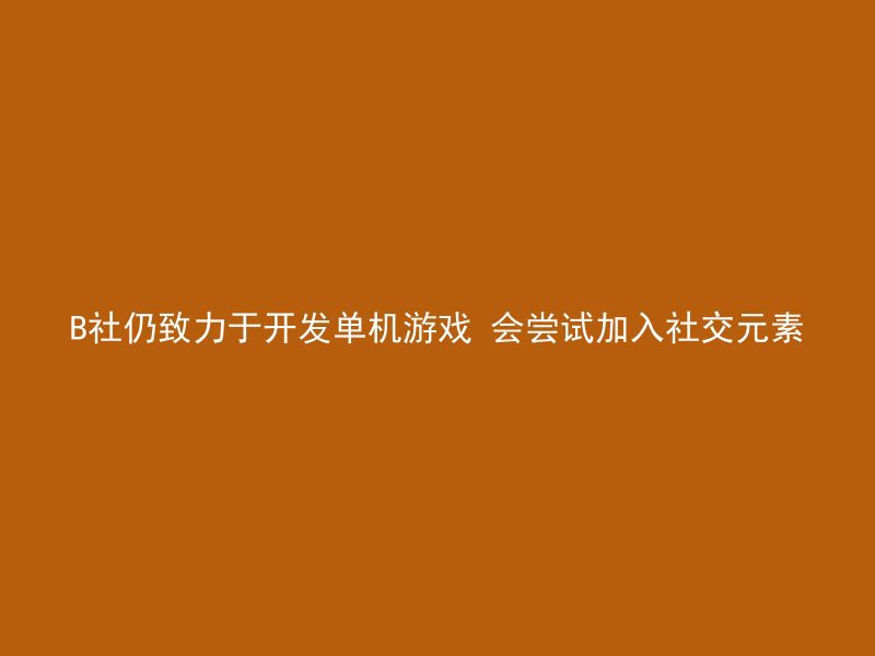 B社仍致力于开发单机游戏 会尝试加入社交元素