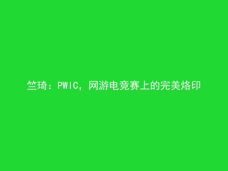 竺琦：PWIC，网游电竞赛上的完美烙印