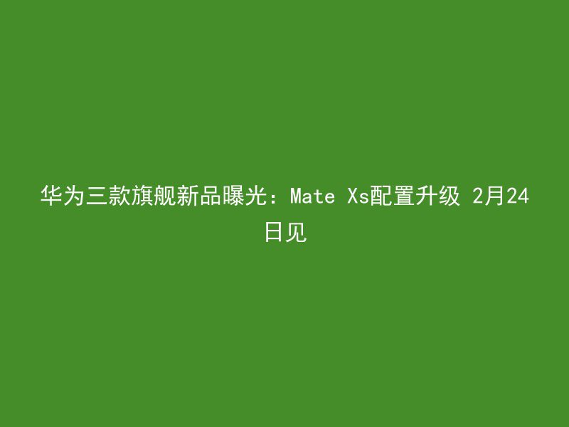 华为三款旗舰新品曝光：Mate Xs配置升级 2月24日见