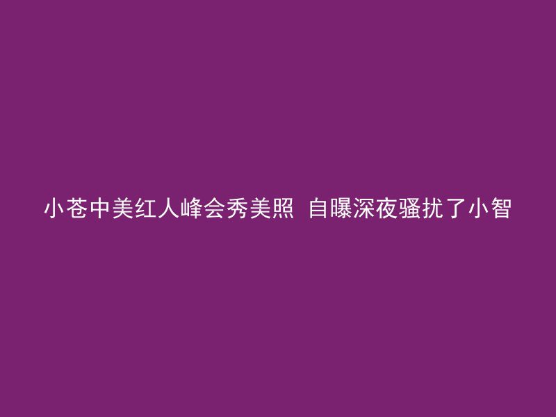 小苍中美红人峰会秀美照 自曝深夜骚扰了小智