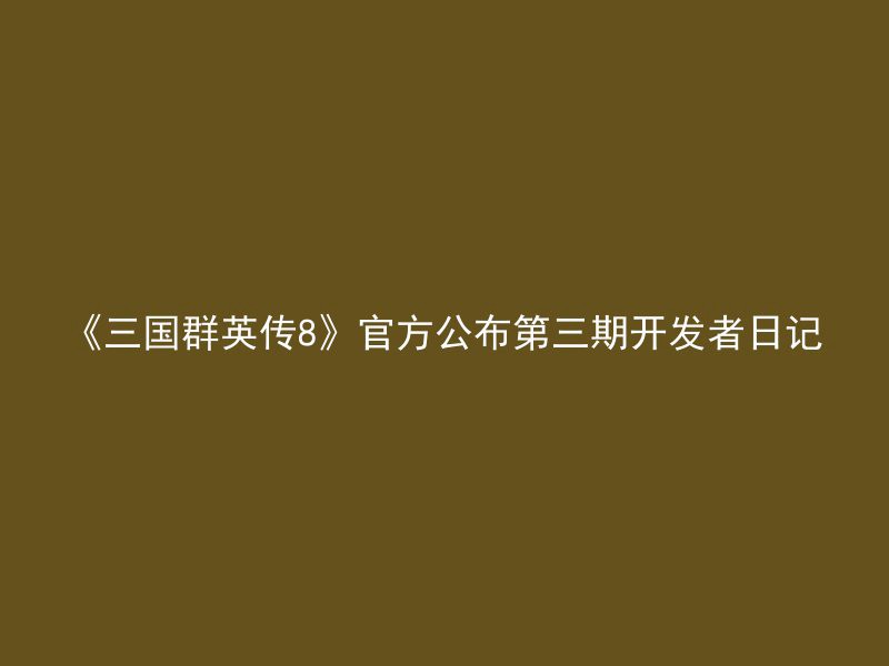 《三国群英传8》官方公布第三期开发者日记