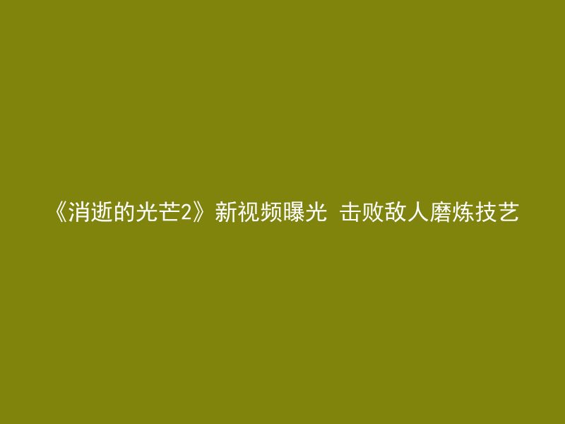 《消逝的光芒2》新视频曝光 击败敌人磨炼技艺