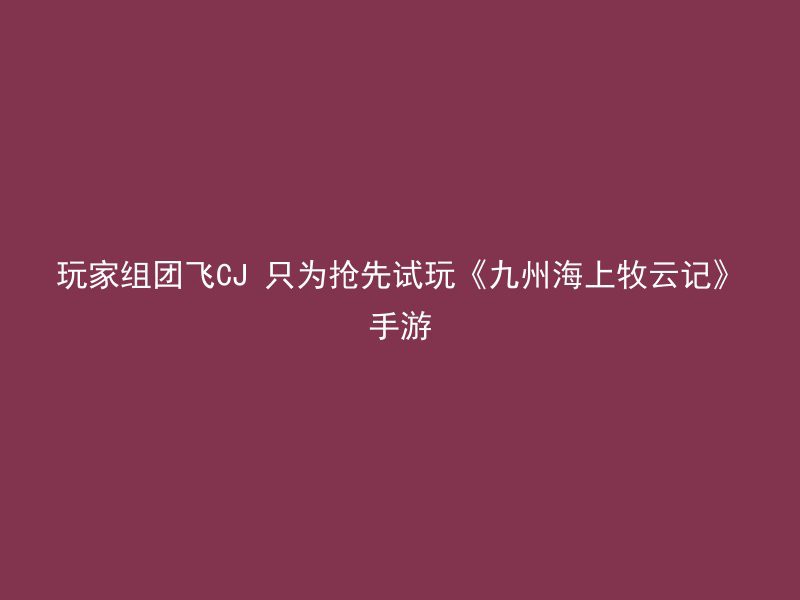 玩家组团飞CJ 只为抢先试玩《九州海上牧云记》手游