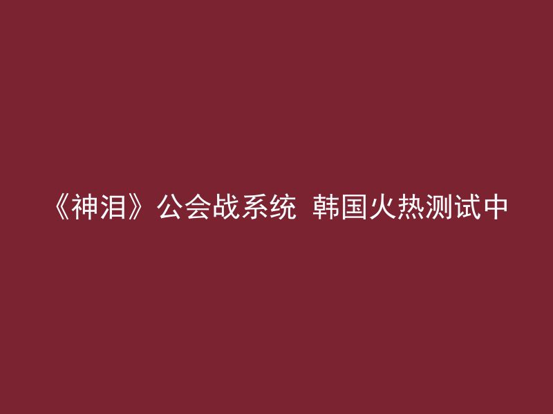 《神泪》公会战系统 韩国火热测试中