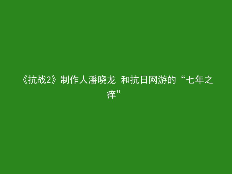 《抗战2》制作人潘晓龙 和抗日网游的“七年之痒”