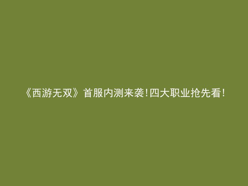 《西游无双》首服内测来袭!四大职业抢先看!